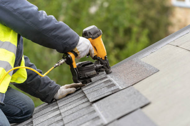 Best Roof Moss and Algae Removal  in Spring Valley, NV