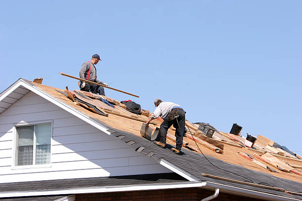 Best Metal Roofing Installation  in Spring Valley, NV